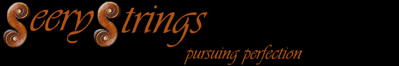 Seery Strings Banner